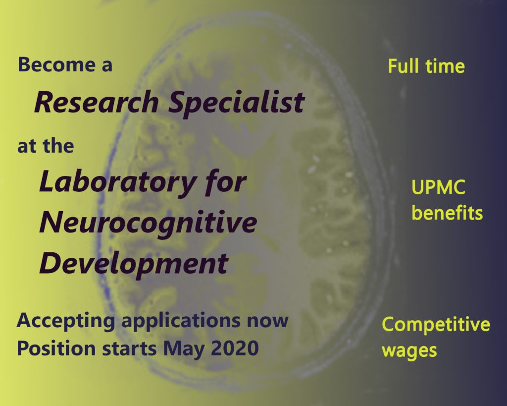 image of a brain with a yellow to purple gradient, with the text, Become a Research Specialist at the Laboratory of Neurocognitive Development. Accepting applications now. Position starts May 2020. Full Time. UPMC benefits. Competitive wages.